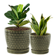 Swkien front view two-pack showing matching green finish and balanced design