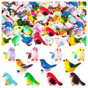 SYWHXY front packaging view showing the 36-piece bird set and colorful appeal