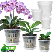 t4u clear orchid pot front view showing neat rim and clear walls for monitoring roots