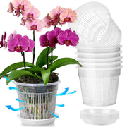 T4U clear orchid pot front view showing transparent walls and tidy design benefit easy monitoring
