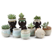 T4U front view of 12 mini glazed ceramic pots showcasing variety and charm