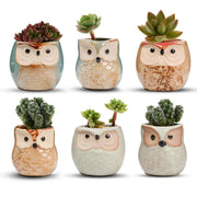 T4U owl planters front view showing six unique owl faces and cheerful display benefit