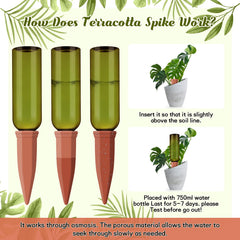 Teenyyou 26 oz green bottle detail showing secure thread and refill convenience