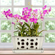 Teenyyou ceramic pot front view showing clean white finish and sturdy build, enhances display