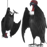 Tenceur vulture front view showing realistic silhouette and visual deterrent benefit