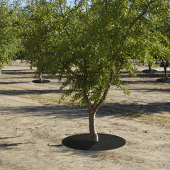 Tezhile center hole detail, adjustable opening for trunk sizing benefit