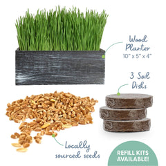 The Cat Ladies seed and compressed soil closeup highlights organic mix and easy hydration