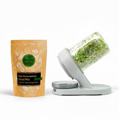 The Sprouting Company front packaging showing jar and seed bundle for easy start