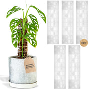 THICCLY front packaging view showing five medium GrowPoles, neat storage benefit