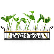THYGIFTREE front view of propagation station showing neat display and stability