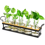 THYGIFTREE front view of propagation station showing five jars and metal stand, stylish display benefit