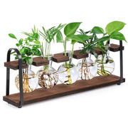 THYGIFTREE front view of five glass vases showing a clean display benefit