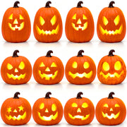 Thyle pumpkin front view showing twelve pumpkins and inviting warm ambiance