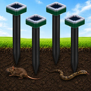 Tirgo front view of four stakes showing complete kit and outdoor-ready design benefit