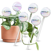 Tomorotec front view of six glass spikes showing decorative iridescence and tidy packaging benefit