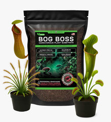 Top Tier Genetics BOG BOSS front packaging showing product branding and benefits