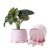 TOPOLA front view showing smiling planter and bendable legs, adds charm