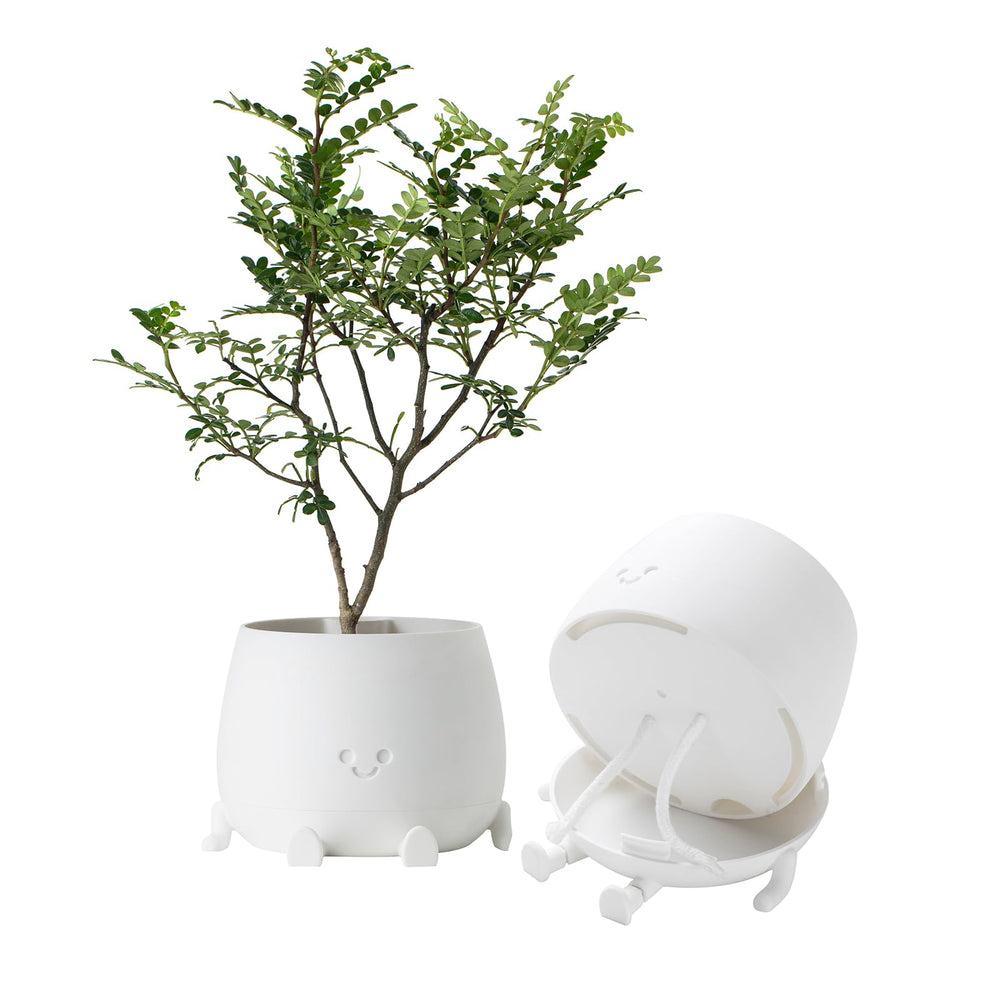 TOPOLA planter front view showing smiling face and cheerful decor benefit