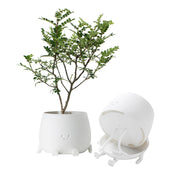 TOPOLA planter front view showing smiling face and cheerful decor benefit