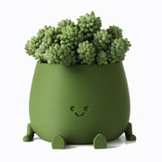 TOPOLA planter front view showing dark green face and cheerful look, adds charm