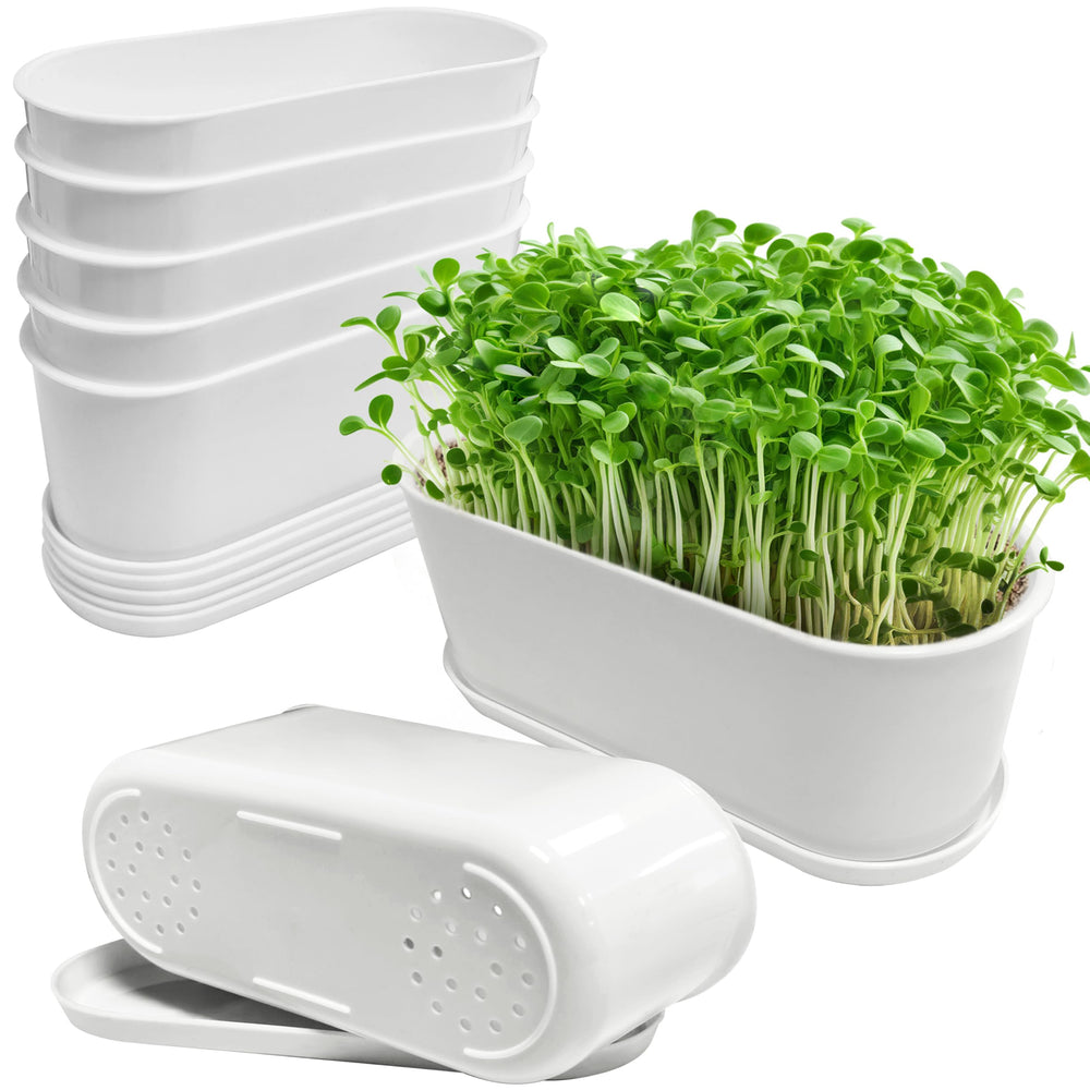 Torfican front view of five white window planters showing neat row and clean finish for organized planting
