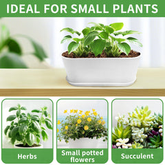Torfican planters with matching saucers and transplanting tools ready for simple indoor gardening