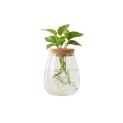 Totority glass front view showcasing elegant water-drop shape and clear visibility