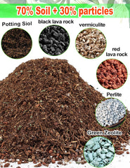 TOYPOPOR perlite and sand particles demonstrating fast drainage benefit