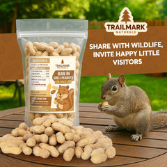 Trailmark Naturals peanuts in platform feeder attract birds and squirrels