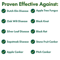 Treekote being applied to pruning cut protecting wound from moisture