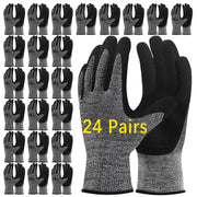 Trendara front packaging showing 24 pairs and value pack advantage