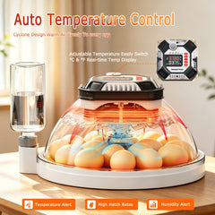 TRIOCOTTAGE atomizer with external water bottle illustrating fast humidity control