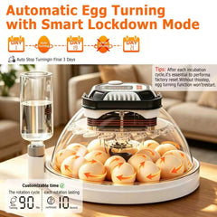 TRIOCOTTAGE built-in LED candler close-up enabling easy embryo inspection