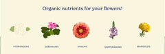 Closeup of True Organic label highlighting soy protein hydrolysate benefits