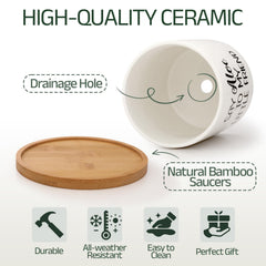 Tuitessine bamboo saucers detail showing natural grain and protective function