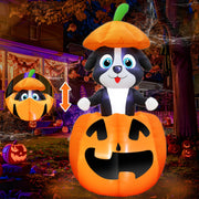 TURNMEON front view of animated dog in pumpkin showing playful motion and curb appeal