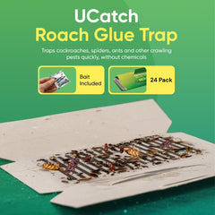 UCatch single trap folded and ready with clear adhesive for fast setup