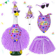 Ueyben porch goose front view showing full birthday outfit and festive curb appeal