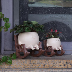 UMESONG planter with string of pearls highlighting trailing plant display benefit