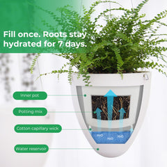 UNDUXE side detail of egg-shaped planter showing deep root space benefit