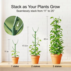 unijoy assembled trellis in pot supporting monstera for upright growth
