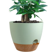 UOUZ front view of 12-inch planter showing design and color for stylish decor