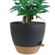 UOUZ front view of 12-inch planter showing shape and finish, modern look benefit