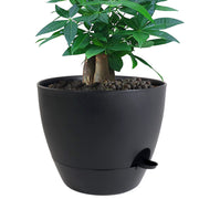 UOUZ 12-inch front view showing sleek pot and modern look with durable protection