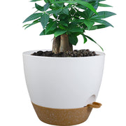 UOUZ front view of 12-inch self watering pot showing clean design and stability