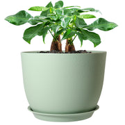 UOUZ 12-inch planter front view shows modern shape and matte finish benefit aesthetic appeal