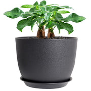 UOUZ 12-inch planter front view showing minimalist design and stability