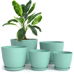 Utopia Home front view of aqua planters showing neat display and style benefit