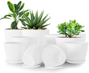 Utopia Home front packaging showing clean white planters and saucers