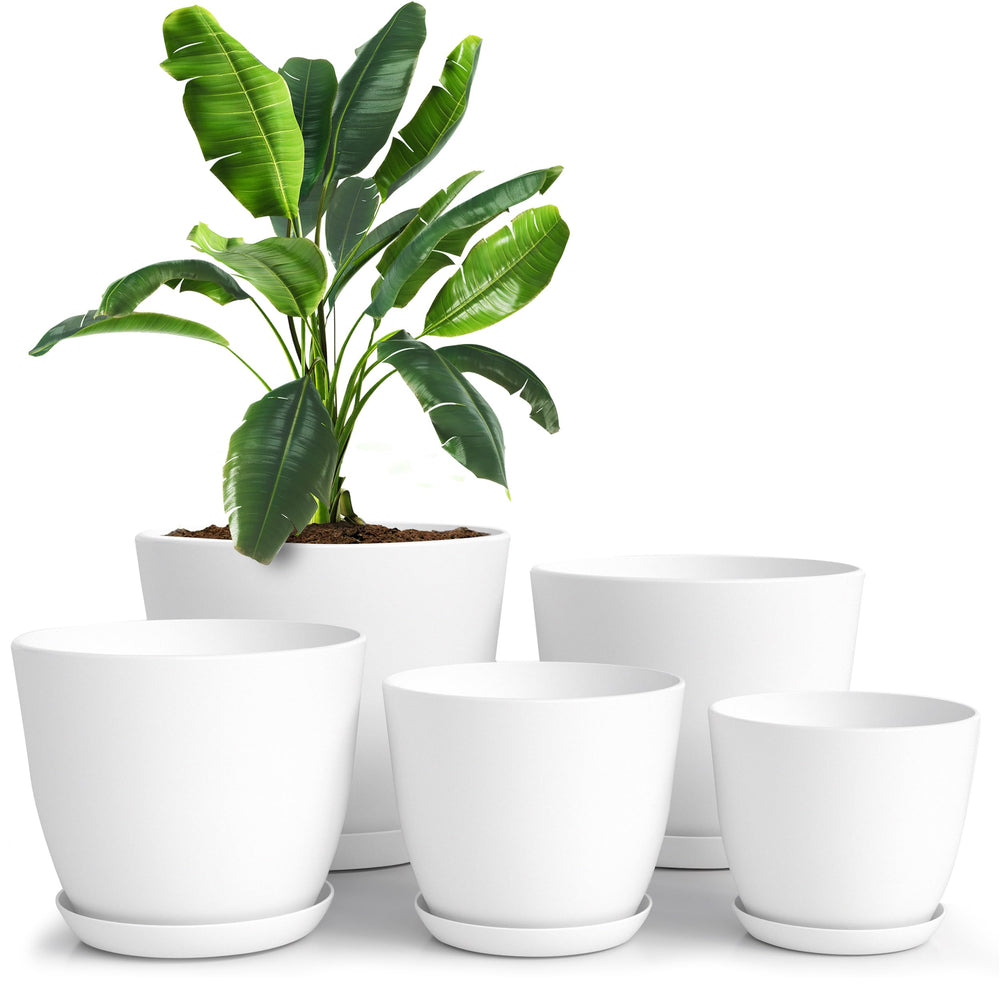 Utopia Home front view of five white planters showing clean design and versatility
